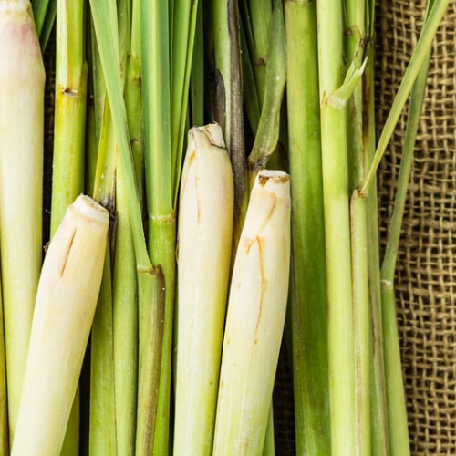 Lemongrass Candle